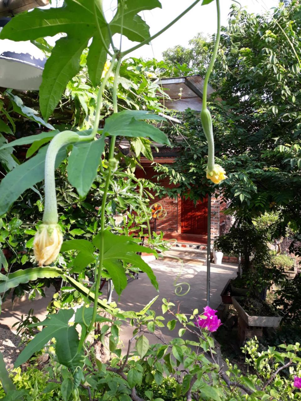 An Phu Homestay Ninh Binh Exterior photo
